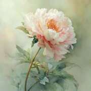 ヒメ日記 2025/08/01 14:51 投稿 新人・実杏(みあ) グランドオペラ福岡