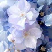 ヒメ日記 2025/08/03 22:11 投稿 新人・実杏(みあ) グランドオペラ福岡