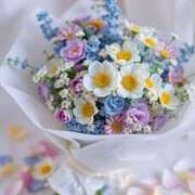 ヒメ日記 2025/08/04 00:02 投稿 新人・実杏(みあ) グランドオペラ福岡