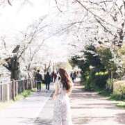 HIME 4月🌷🌸 GRAND STAGE