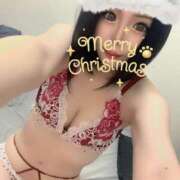 ヒメ日記 2024/12/25 15:27 投稿 おんぷ おねだり！ココナッツ