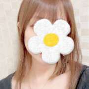 ヒメ日記 2025/04/29 13:38 投稿 風波もな ワイフコレクション