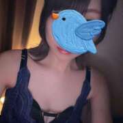 ヒメ日記 2026/04/08 21:47 投稿 風波もな ワイフコレクション