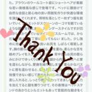 ヒメ日記 2025/02/11 15:13 投稿 ふゆか 錦糸町人妻セレブリティ（ユメオト）