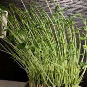 ヒメ日記 2025/04/28 22:39 投稿 かほ 千葉泡洗体デラックスエステ