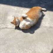 ヒメ日記 2025/06/26 21:39 投稿 かほ 千葉泡洗体デラックスエステ