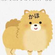 ヒメ日記 2025/07/28 07:49 投稿 かほ 千葉泡洗体デラックスエステ