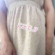 ヒメ日記 2024/12/21 08:16 投稿 鎌田結子 ウルトラブレイズ