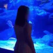 ヒメ日記 2025/03/29 12:16 投稿 鎌田結子 ウルトラブレイズ