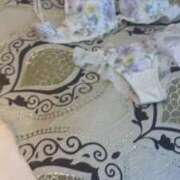 ヒメ日記 2025/04/16 12:06 投稿 鎌田結子 ウルトラブレイズ