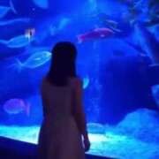 ヒメ日記 2025/05/10 03:46 投稿 鎌田結子 ウルトラブレイズ