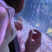 ヒメ日記 2025/05/13 02:26 投稿 鎌田結子 ウルトラブレイズ