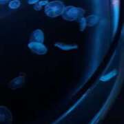 ヒメ日記 2025/07/05 01:31 投稿 鎌田結子 ウルトラブレイズ