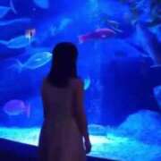 ヒメ日記 2025/09/12 01:16 投稿 鎌田結子 ウルトラブレイズ