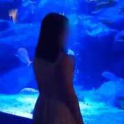 ヒメ日記 2025/12/25 14:16 投稿 鎌田結子 ウルトラブレイズ