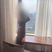 ヒメ日記 2026/02/07 16:56 投稿 鎌田結子 ウルトラブレイズ