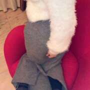 ヒメ日記 2026/02/20 16:31 投稿 鎌田結子 ウルトラブレイズ