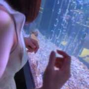 ヒメ日記 2026/03/08 06:26 投稿 鎌田結子 ウルトラブレイズ