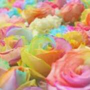 ヒメ日記 2025/05/27 20:21 投稿 あきな 丸妻 新横浜店