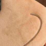 ヒメ日記 2026/04/07 23:38 投稿 あきな 丸妻 新横浜店