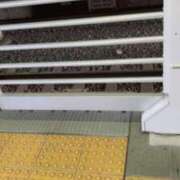 ヒメ日記 2026/04/09 10:04 投稿 あきな 丸妻 新横浜店