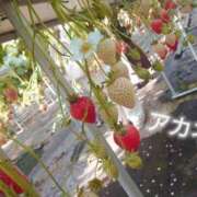 ヒメ日記 2024/12/27 14:52 投稿 アカネ 1ROUND