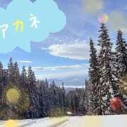 ヒメ日記 2025/01/09 18:09 投稿 アカネ 1ROUND