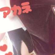 ヒメ日記 2025/01/27 22:16 投稿 アカネ 1ROUND