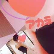 ヒメ日記 2025/02/07 23:46 投稿 アカネ 1ROUND