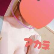 ヒメ日記 2025/02/13 00:34 投稿 アカネ 1ROUND