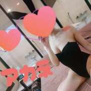 ヒメ日記 2025/02/27 11:49 投稿 アカネ 1ROUND