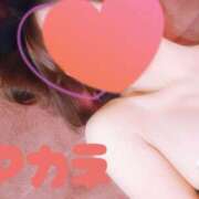 ヒメ日記 2025/03/04 20:44 投稿 アカネ 1ROUND