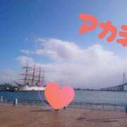 ヒメ日記 2025/03/09 18:31 投稿 アカネ 1ROUND