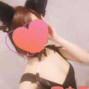 ヒメ日記 2025/04/11 11:22 投稿 アカネ 1ROUND