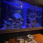 ヒメ日記 2025/03/06 13:29 投稿 御堂かのん 一夜妻