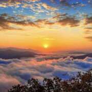 ヒメ日記 2025/06/07 05:49 投稿 御堂かのん 一夜妻