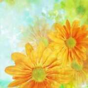 ヒメ日記 2025/01/23 12:32 投稿 美智子(みちこ) 五十路エステハイブリッド(カサブランカグループ)