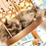 ヒメ日記 2024/12/11 16:33 投稿 もか CLUB DEEP 博多