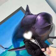 ヒメ日記 2025/01/11 18:03 投稿 もか CLUB DEEP 博多