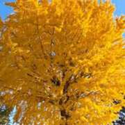 ヒメ日記 2025/12/01 08:50 投稿 まひる 熟女の風俗最終章 蒲田店