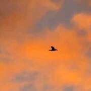 ヒメ日記 2025/12/02 10:21 投稿 まひる 熟女の風俗最終章 蒲田店