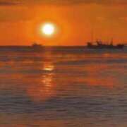 ヒメ日記 2025/12/07 08:40 投稿 まひる 熟女の風俗最終章 蒲田店