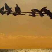 まひる おはようございます✨ 熟女の風俗最終章 蒲田店