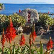 ヒメ日記 2025/12/19 15:01 投稿 まひる 熟女の風俗最終章 蒲田店