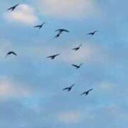 ヒメ日記 2025/12/22 11:40 投稿 まひる 熟女の風俗最終章 蒲田店