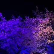 藍川 ひまり 新鮮❤️ Men's relaxation VEGA