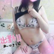 ヒメ日記 2026/02/10 12:25 投稿 はな 小田原人妻城