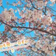 ヒメ日記 2026/03/31 11:55 投稿 はな 小田原人妻城