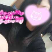 ヒメ日記 2026/04/10 01:12 投稿 はな 小田原人妻城