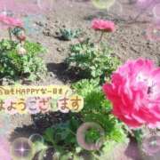 ヒメ日記 2026/05/05 13:54 投稿 はな 小田原人妻城